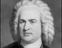 Johann Sebastian Bach: One man's slow discovery of a musical genius 