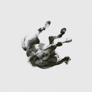Pray Tell cover art