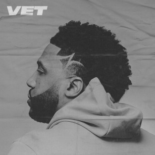 Vet cover art