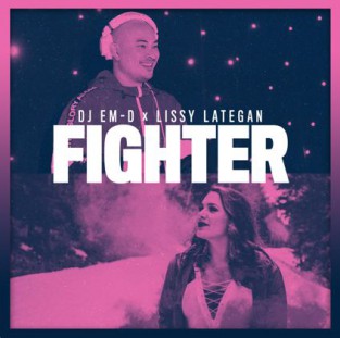 Fighter cover art