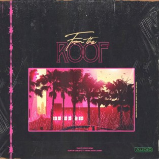 From The Roof (Remix) cover art