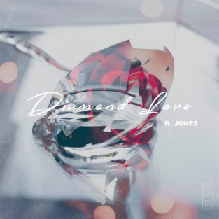 Diamond Love cover art