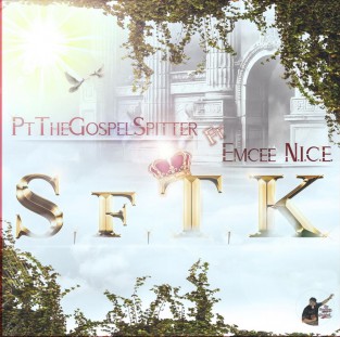 Sftk Remix cover art