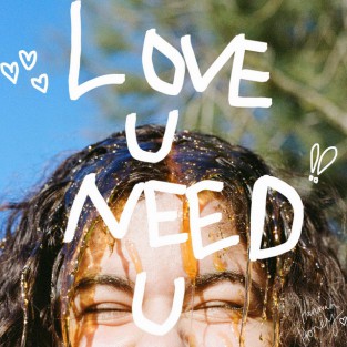 Love U Need U cover art