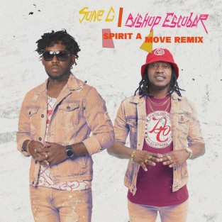Spirit A Move Remix cover art