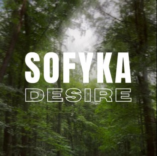 Desire cover art