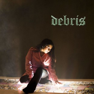 Debris cover art