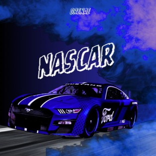 Nascar cover art
