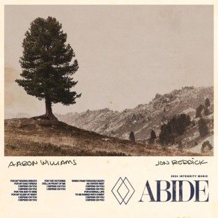 Abide cover art