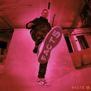 Facts cover art