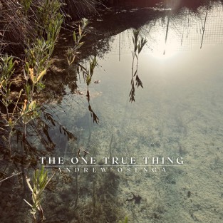 The One True Thing cover art