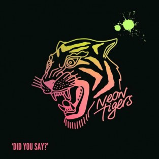 Did You Say? cover art