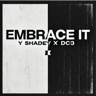 Embrace It cover art