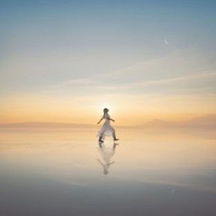 The Whole Thing cover art