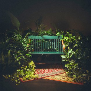 Fruit Takes Time cover art