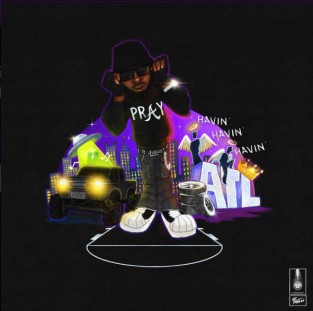 Havin' cover art