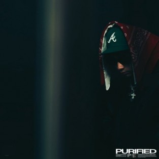 Purified cover art