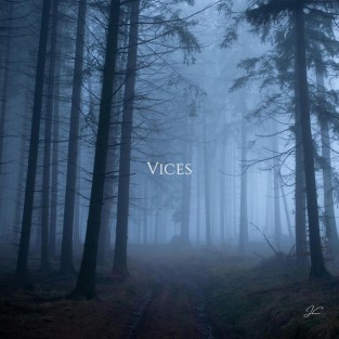 Vices cover art