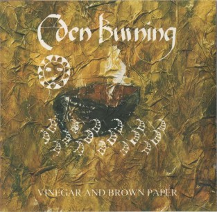 Feel The Rain cover art