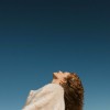 Product Image: Madison Watkins - Spin