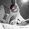 Product Image: Andrew Ripp - The Mercy Room