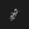 Product Image: John Michael Howell - A Thousand Years