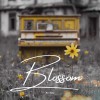 Product Image: Kevi Morse - Blossom