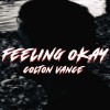 Product Image: Colton Vance - Feeling Okay