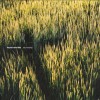 Product Image: SEU Worship - Found In The Field
