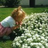 Product Image: Hollyn, Weathrman - Theology of Beauty: Spring