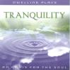 Product Image: Various - Dwelling Place: Tranquility