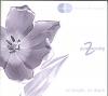 Product Image: Various - Pure Worship 2: No Height, No Depth
